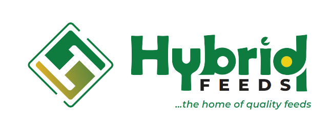 Hybrid Feed partner logo